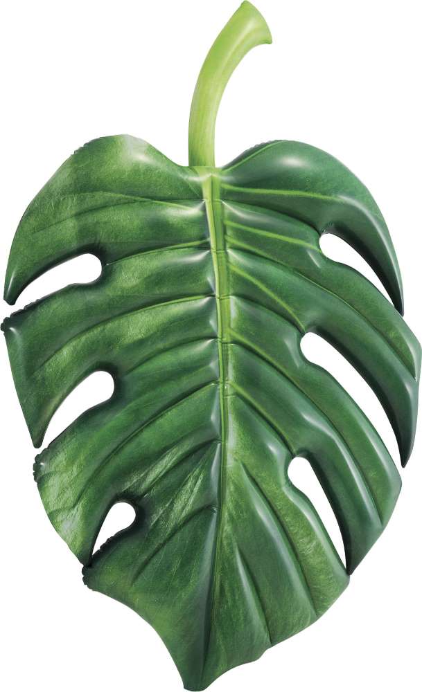 Palm Leaf Mat