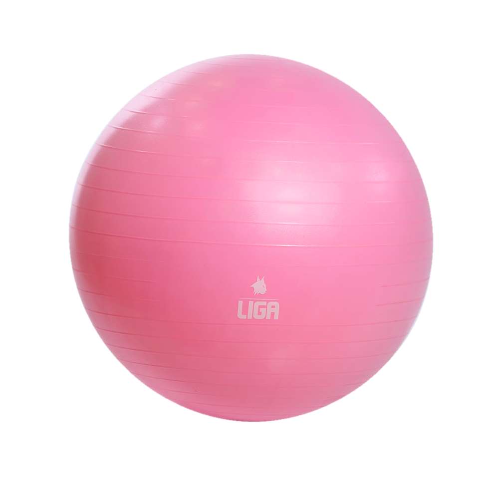 Gym Ball 65cm (pink) LIGASPORT*
